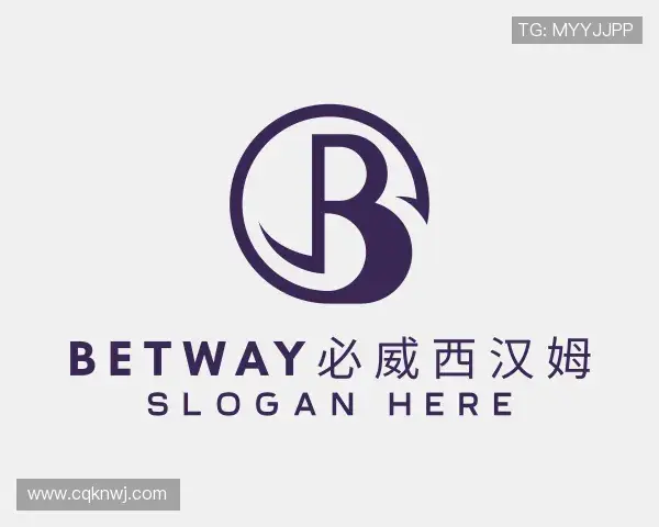 认识BETWAY必威